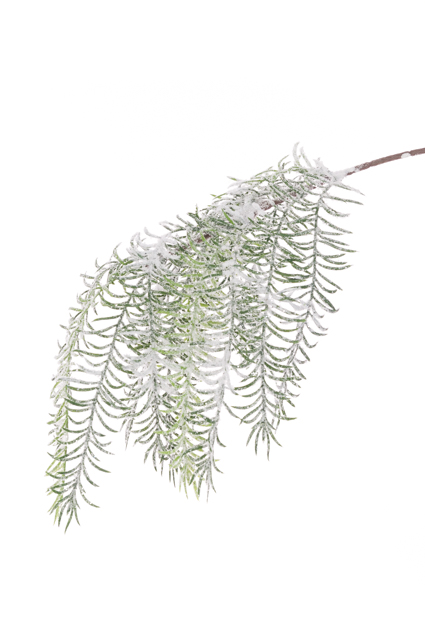 Snowy Asparagus Spray 58cm-0