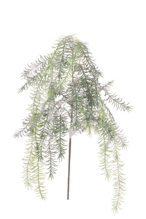 Snowy Asparagus Spray 104cm-0