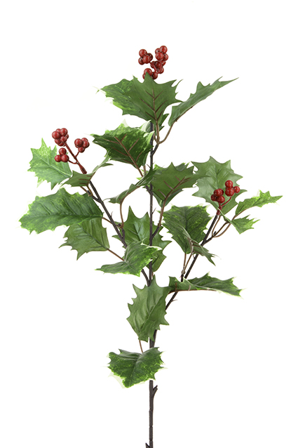 Holly Spray W/Berries 72cm Variegated-0