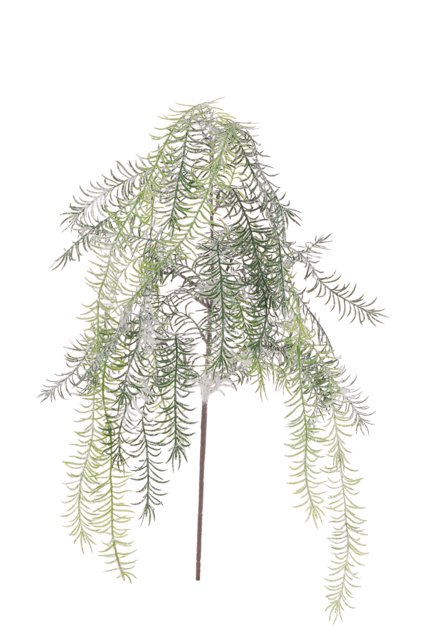Snowy Asparagus Spray 104cm-0