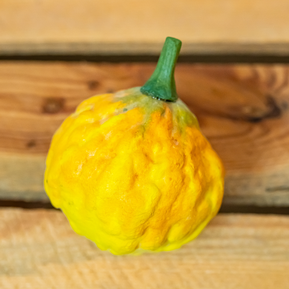Gourds x 4 Yellow 8 - 12cm-25302