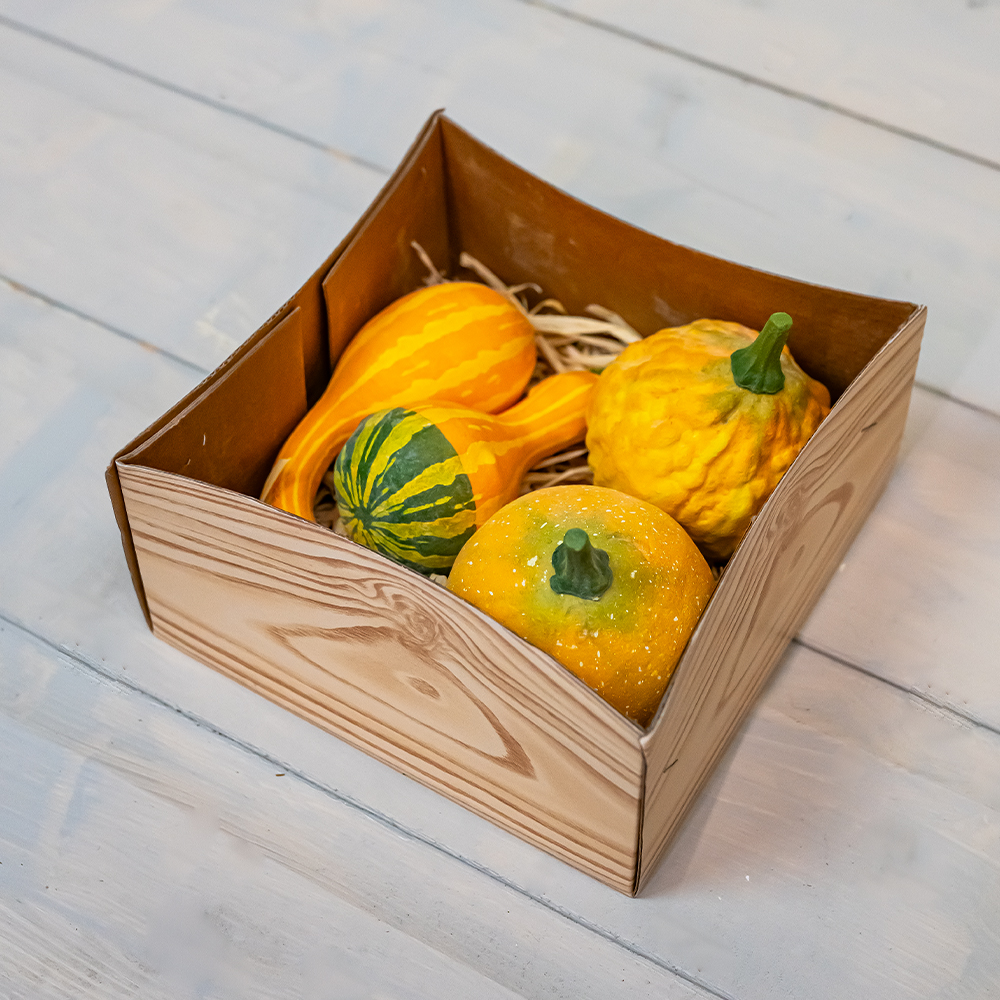 Gourds x 4 Yellow 8 - 12cm-25304