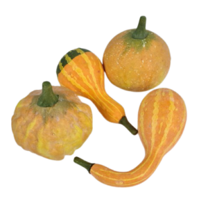 Gourds x 4 Yellow 8 - 12cm-0