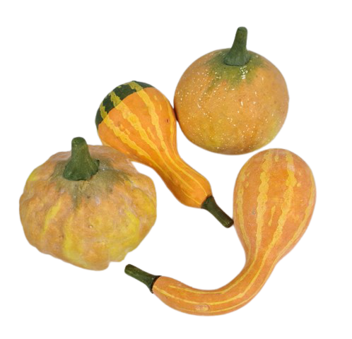 Gourds x 4 Yellow 8 - 12cm-0