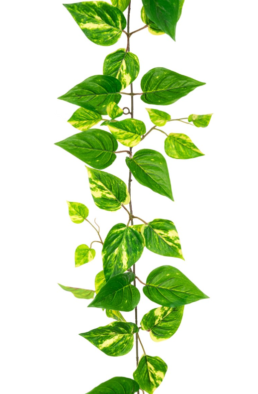 Artificial Pothos Garland 152cm UV