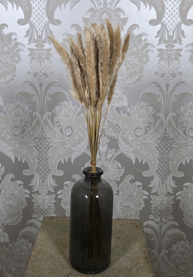 Dried Mini Pampas Natural x 20 Stems