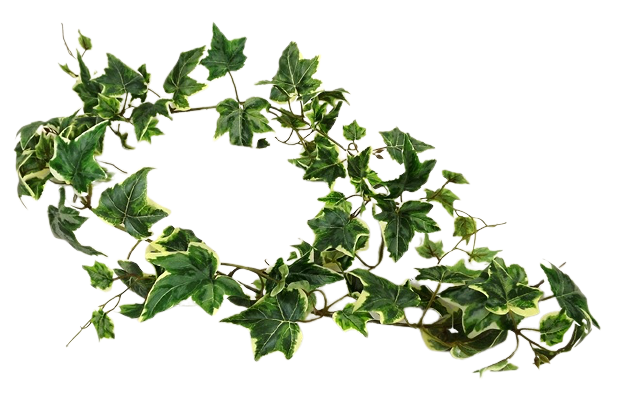 Artificial Ivy Garland Variegated 152cm UV