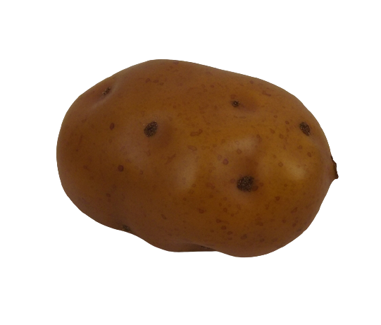 Potato 10cm-0