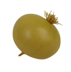 Onion 7.5cm-0