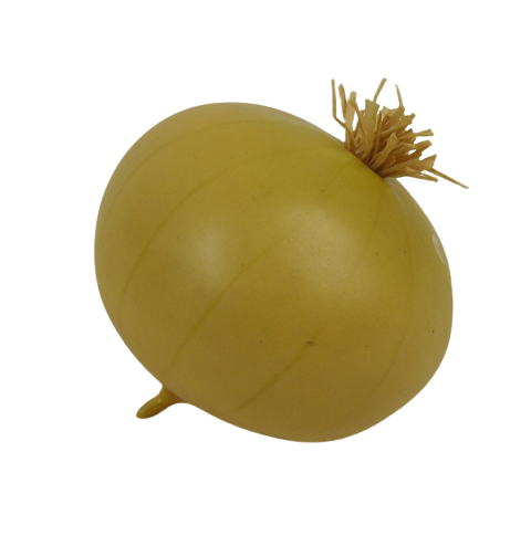 Onion 7.5cm-0
