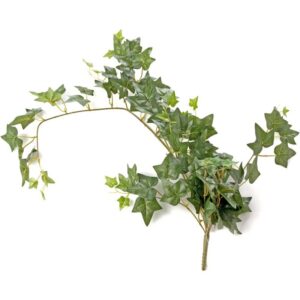 Ivy Bush Green 85cm Long-0