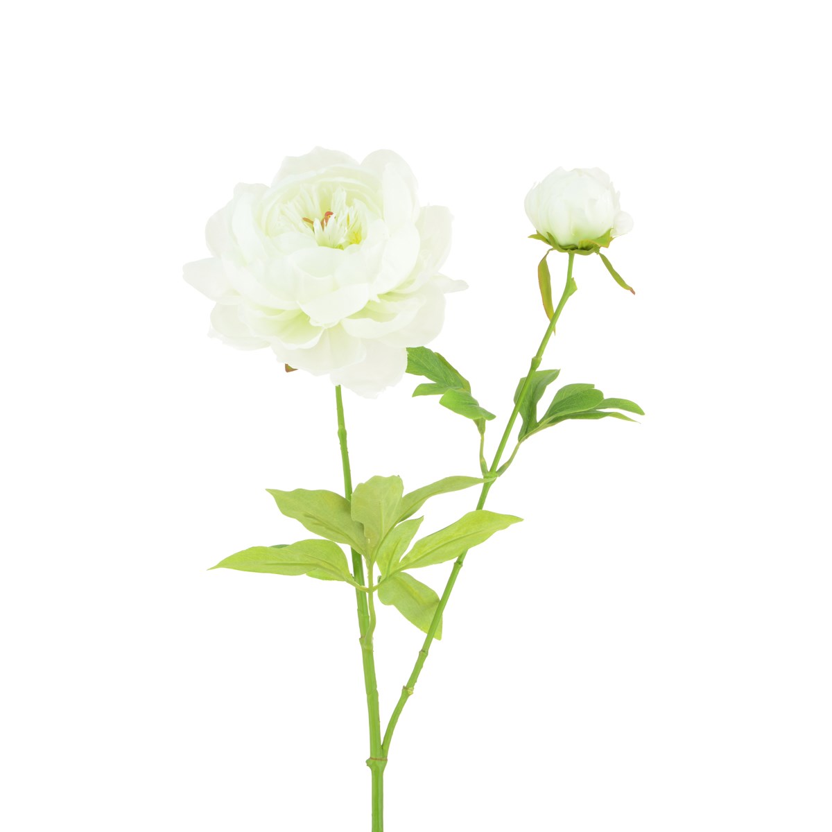 Peony Spray 62cm White-0