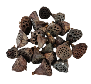 Lotus Heads Mini x 200pcs