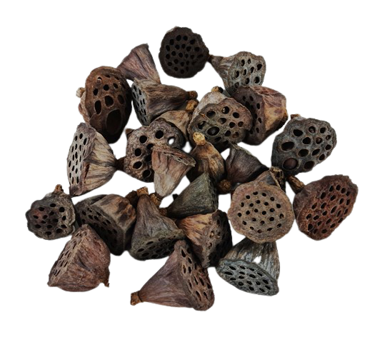 Lotus Heads Mini x 200pcs