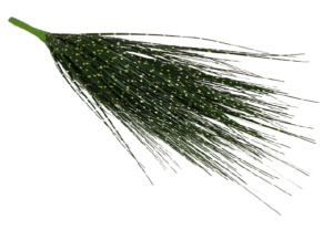 Zebrinus Grass Bush-0