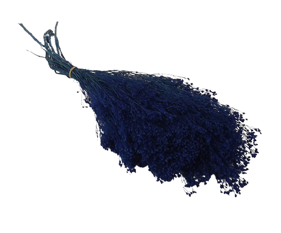 Preserved Broom Bloom - Blue-0