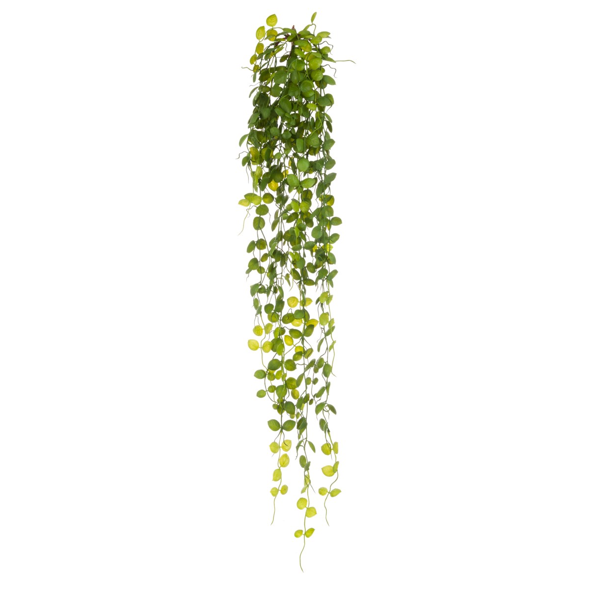 Artificial Trailing Drymaria 100cm UV