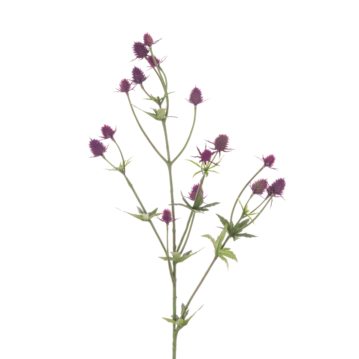 Thistle Spray Purple 81cm Purple-0