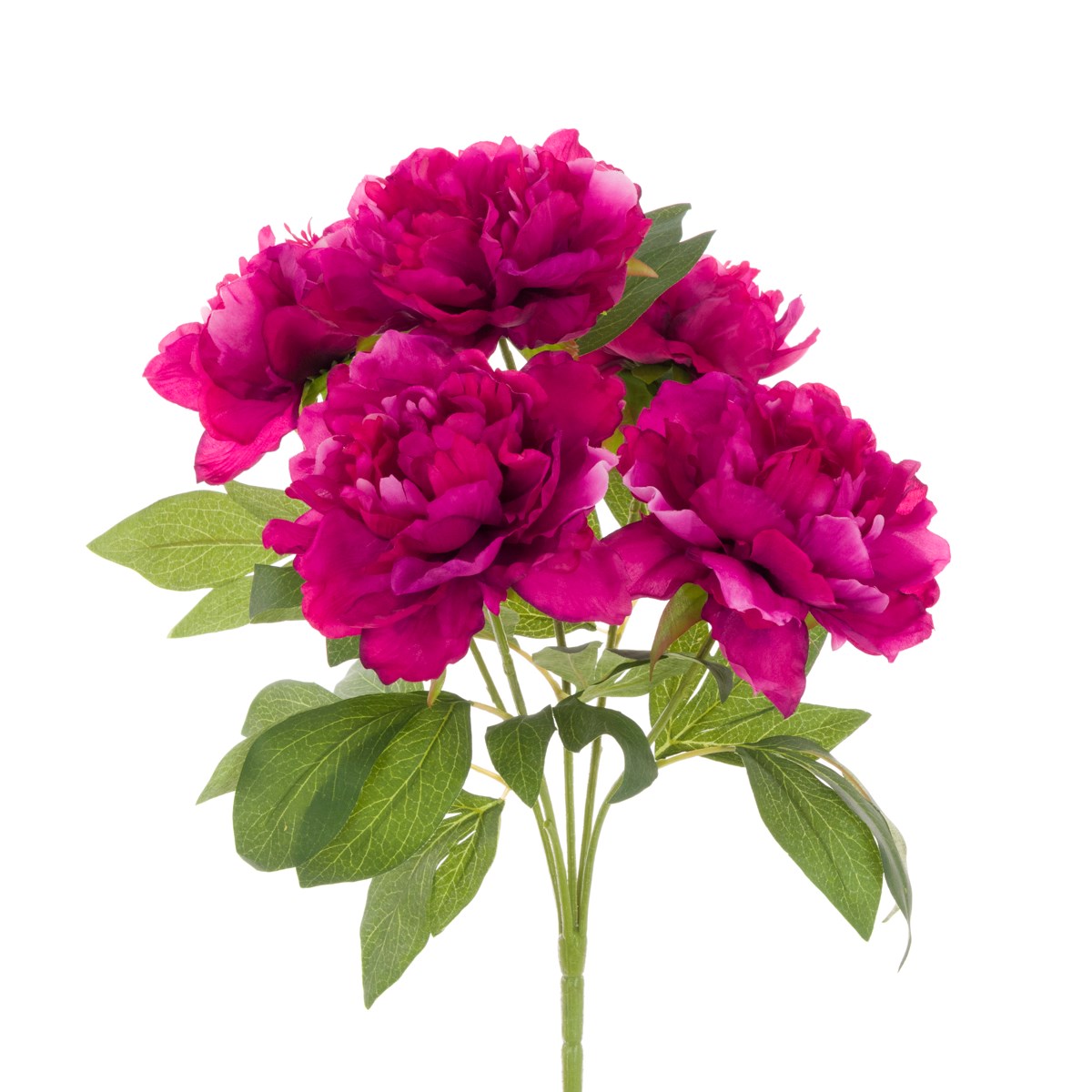Peony Bush Beauty - 47cm-0