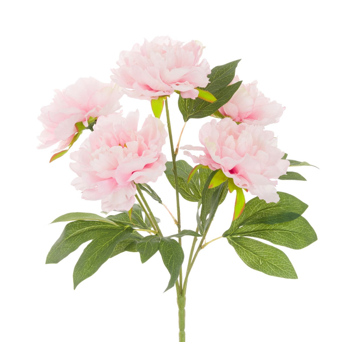 Peony Bush Pink - 47cm-0