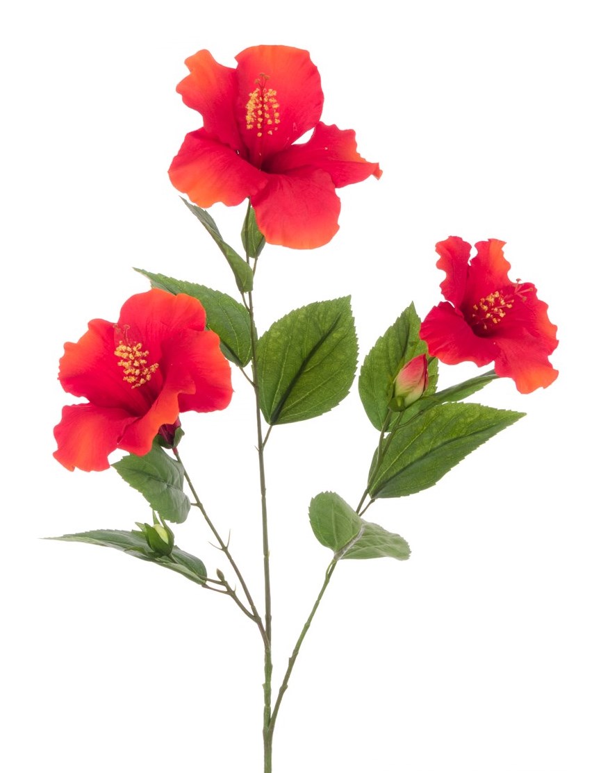 Hibiscus Spray 81cm Flame-0