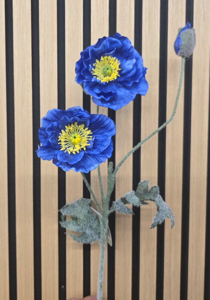 Himalayan Poppy Spray 74cm Blue
