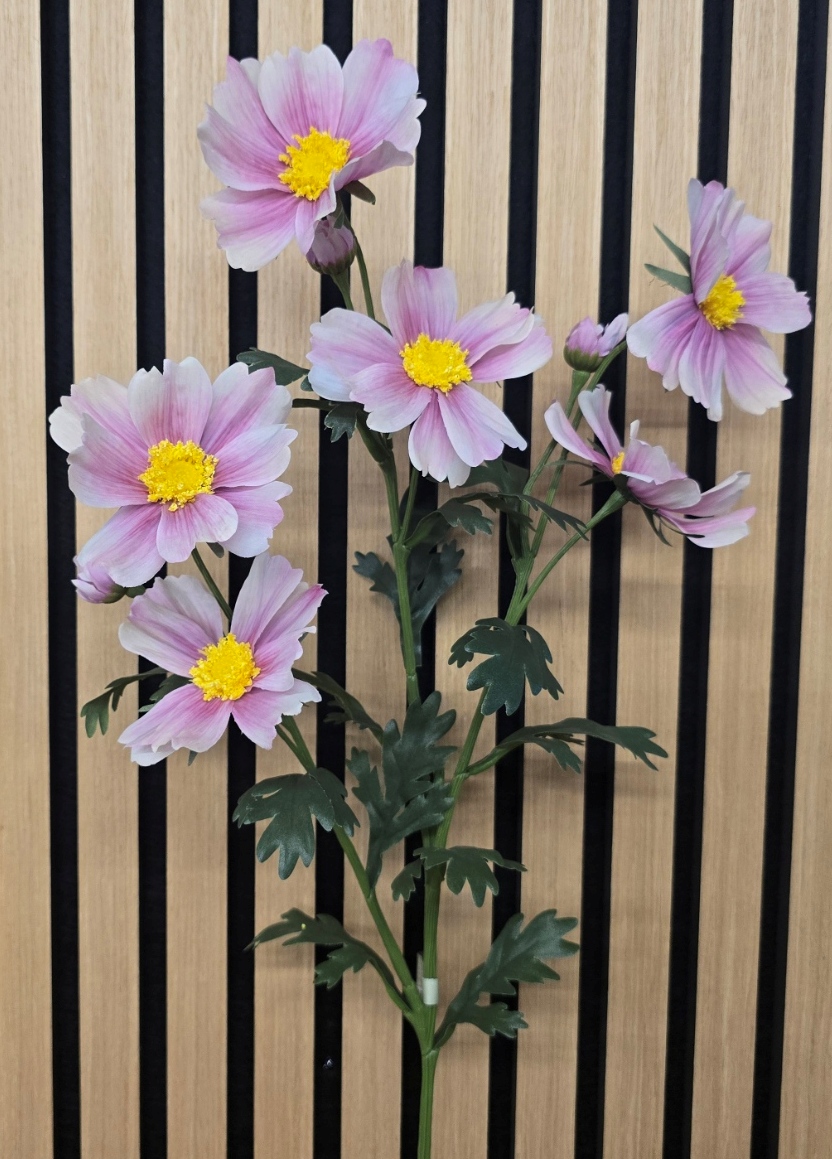 Meadow Cosmos Spray 85cm White/Pink