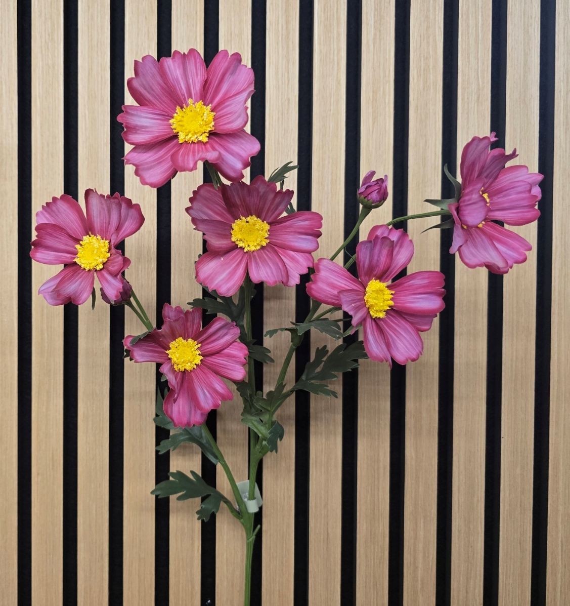 Meadow Cosmos Spray 85cm Wine