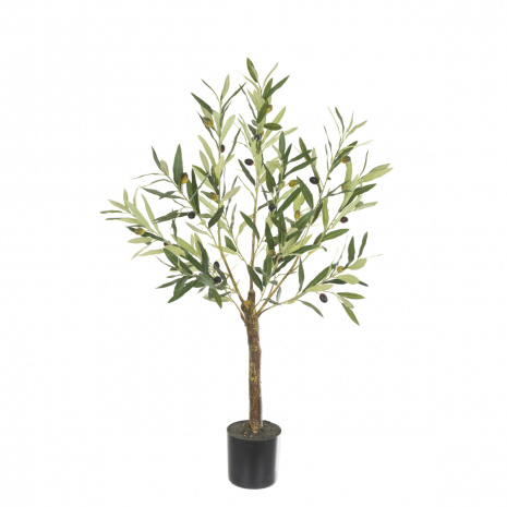 Olive Tree In Pot 90cm-0