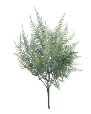 Asparagus Fern Bush (38cm)-0