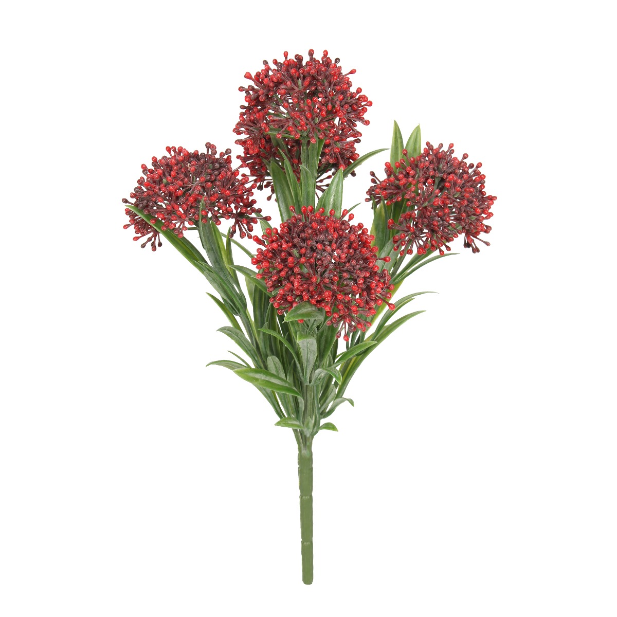Exterior Everlast 24cm Skimmia Plant U.V-0