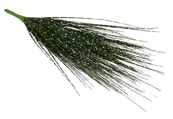 Zebrinus Grass Bush-0