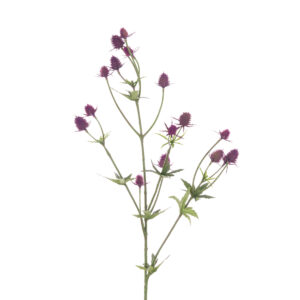 Thistle Spray Purple 81cm Purple-0
