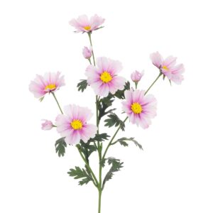Meadow Cosmos Spray 85cm White/Pink-0