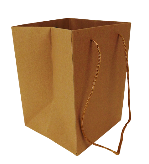 Olympic Bag Kraft With Brown Handles 25cm x 10-0