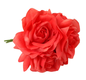 27cm Coral Open Rose Posy x 5 Heads-0