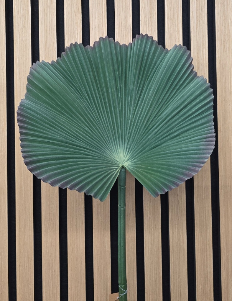 80cm Fan Palm Leaf