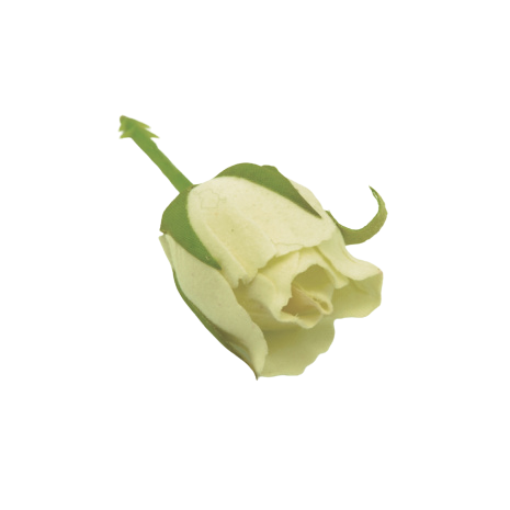 Rosebud Pick Small Cream 2.5cm-0