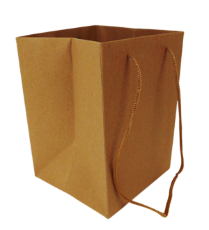 Olympic Bag Kraft With Brown Handles 25cm x 10-0