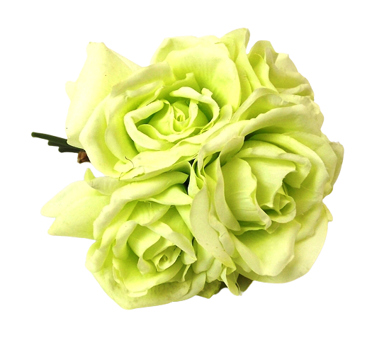 27cm Green Open Rose Posy x 5 Heads-0