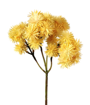 Echinops Bush Beige/Cream 40cm-0
