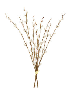 55cm Pussy Willow Hand Tied-0