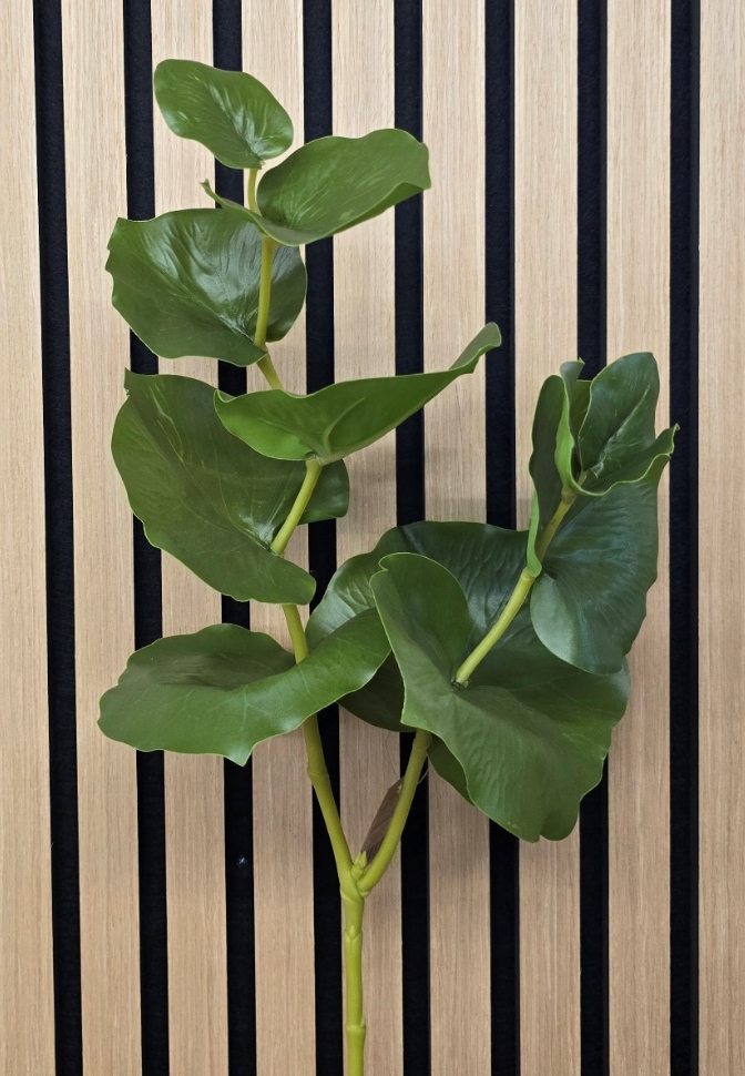 75cm Large Begonia Leaf Green