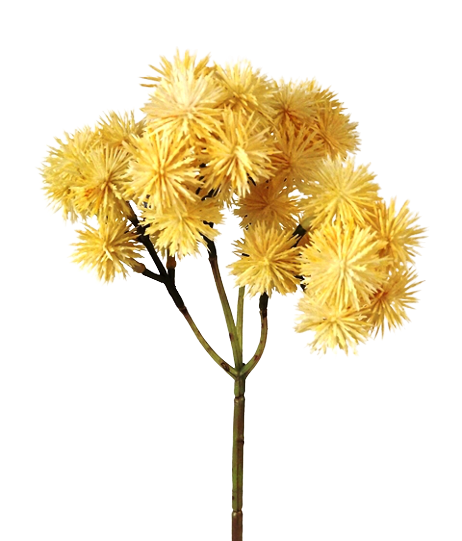Echinops Bush Beige/Cream 40cm-0