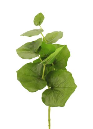 75cm Large Begonia Leaf Green-0