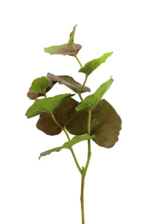 75cm Large Begonia Leaf Brown-0