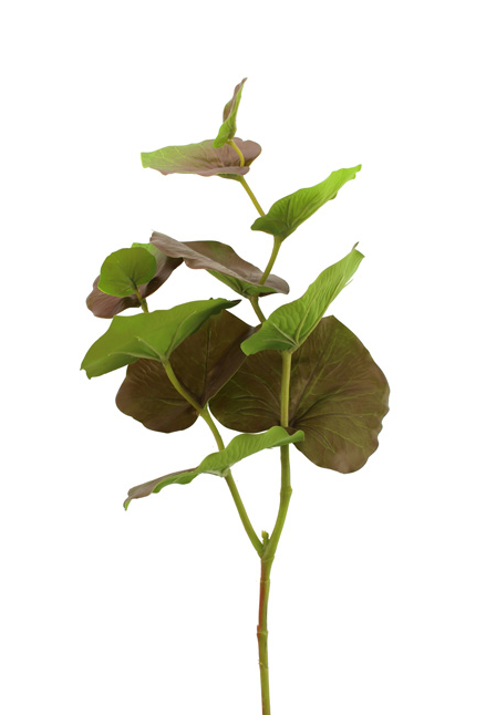 75cm Large Begonia Leaf Brown-0