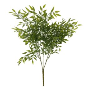 50cm Ruscus Bush-0