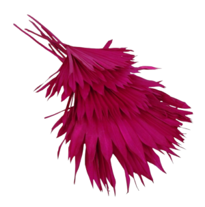 Sun Palm Hot Pink x 6pcs-0