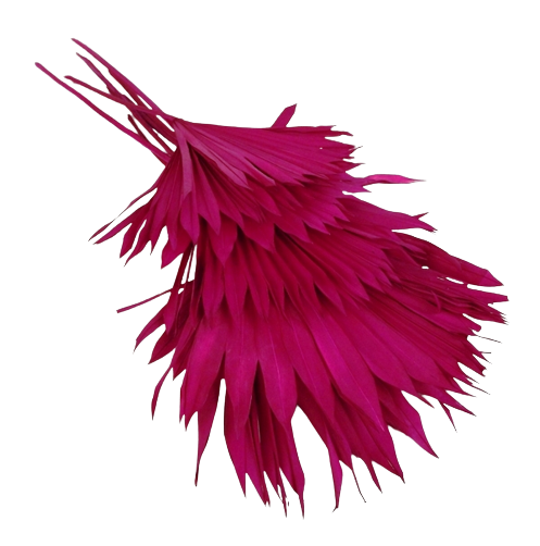 Sun Palm Hot Pink x 6pcs-0
